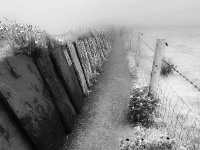 Cliffs Of Moher